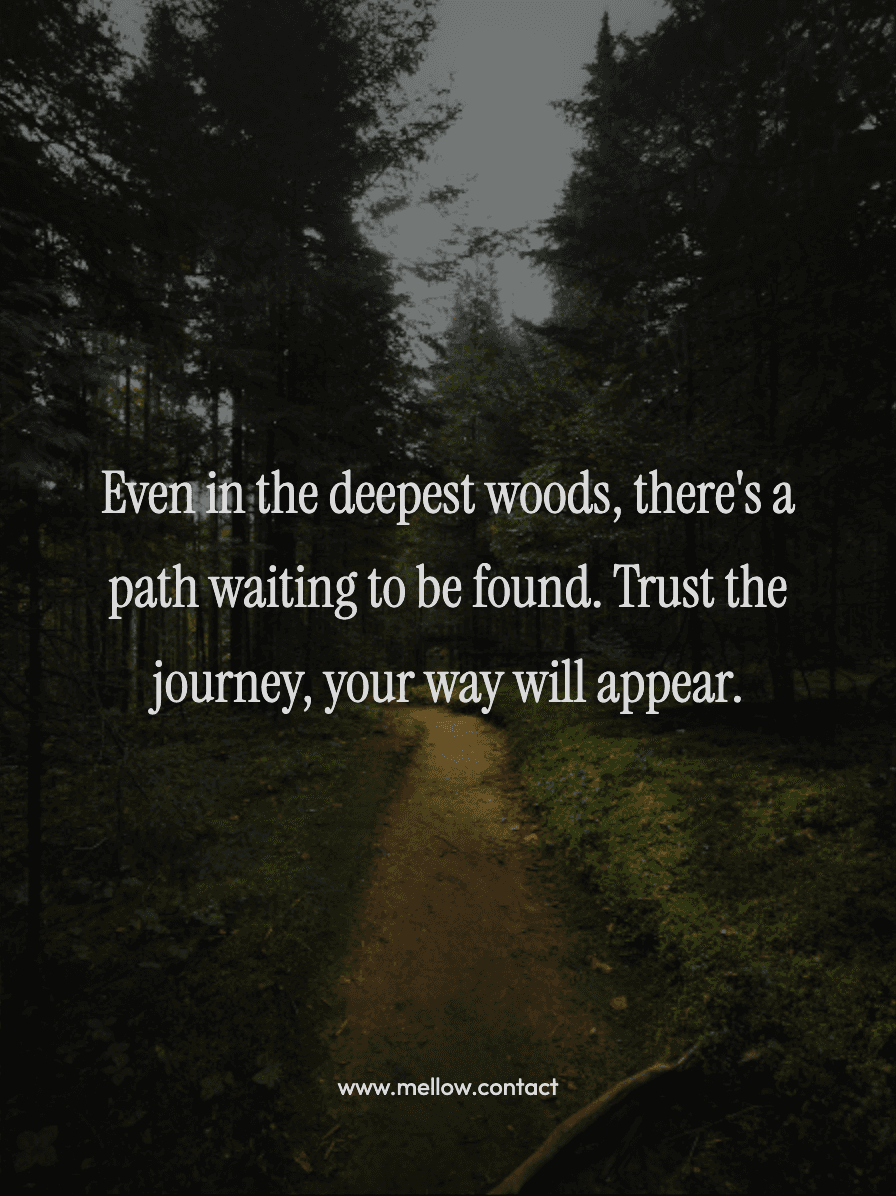 Even in the deepest woods, there's a path waiting to be found. Trust the journey, your way will appear.