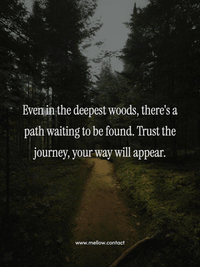 Even in the deepest woods, there's a path waiting to be found. Trust the journey, your way will appear.