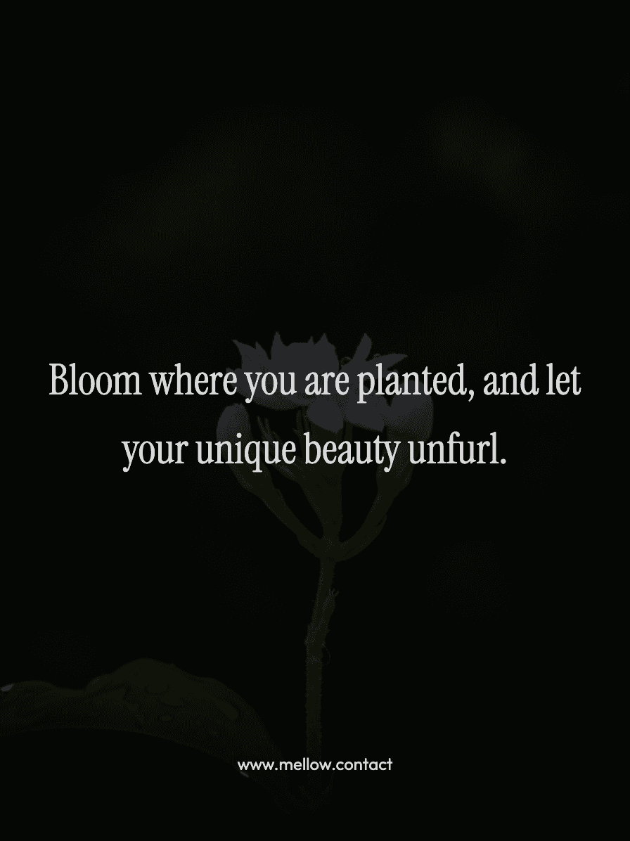 Bloom where you are planted, and let your unique beauty unfurl.