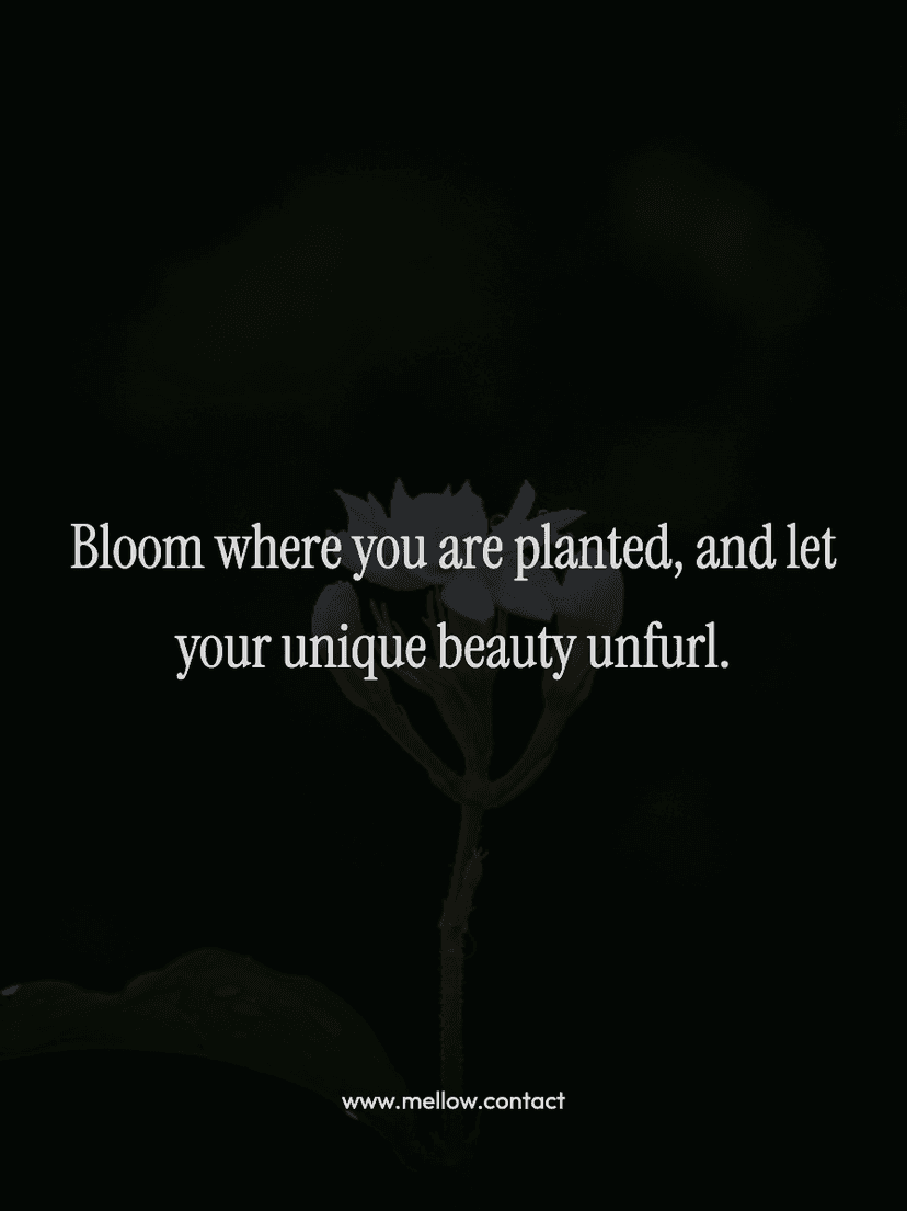 Bloom where you are planted, and let your unique beauty unfurl.